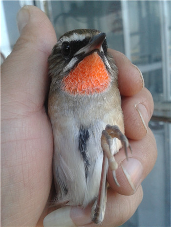 20141005_144503.jpg