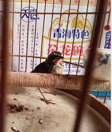 QQ图片20141020223555.jpg