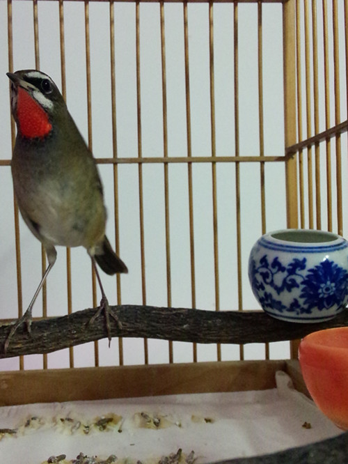 IMG20141030152554_副本.jpg