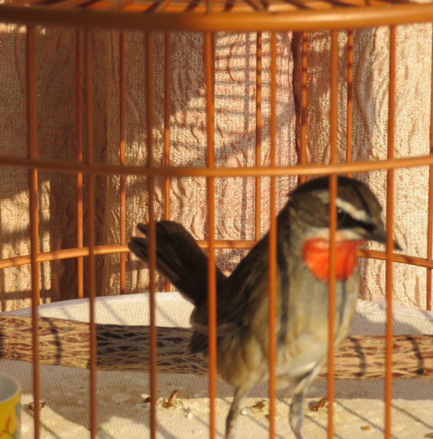 IMG_0729_副本.jpg