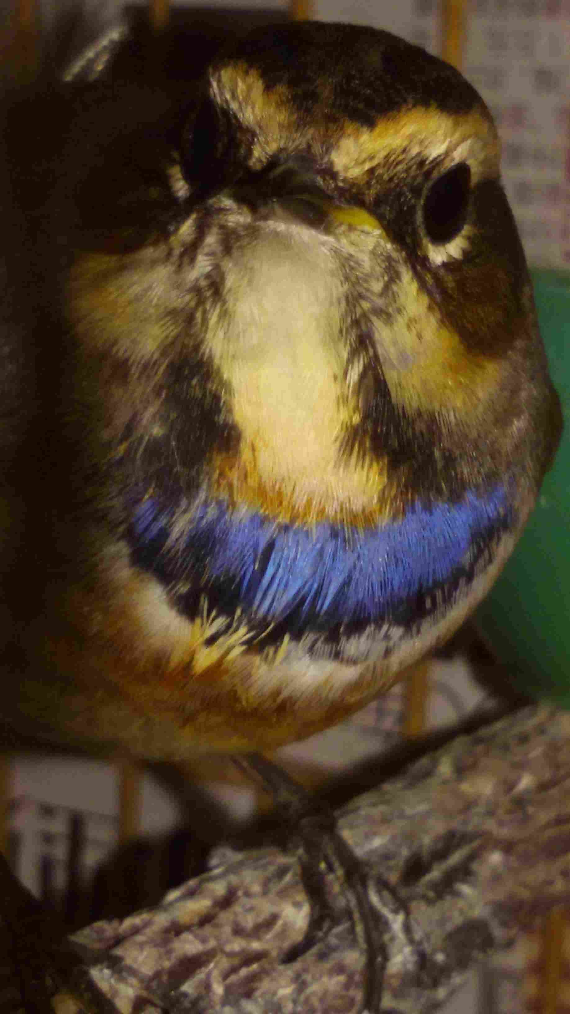 20141006_203200.jpg