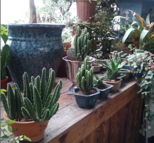 QQ图片20141018213158.jpg