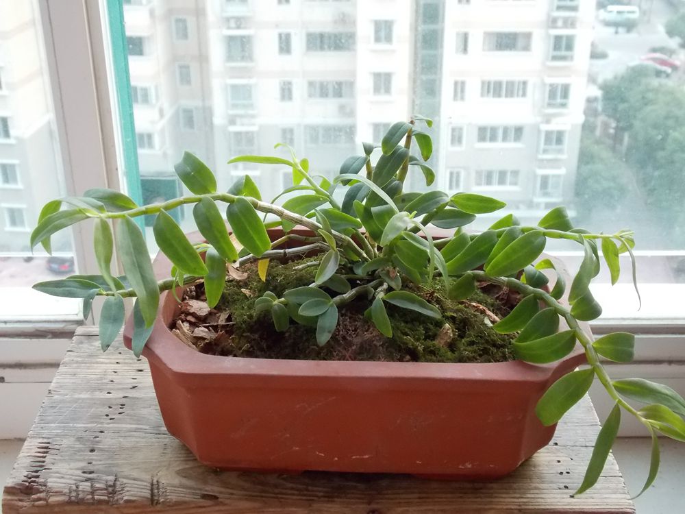DSCN1093_副本.jpg