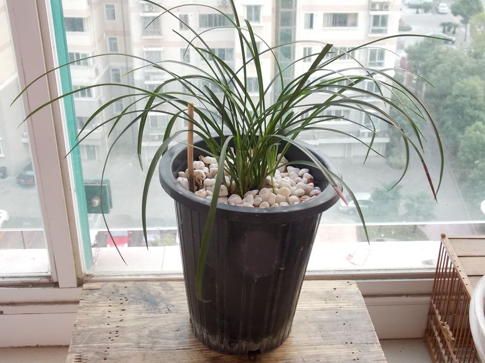DSCN1078_副本.jpg