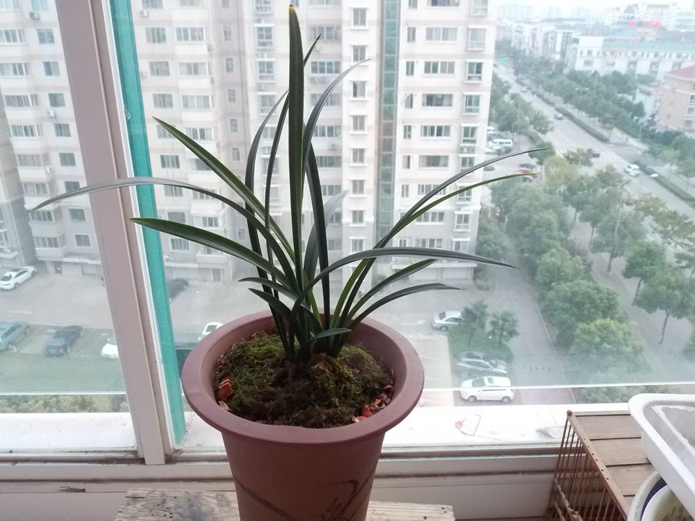 DSCN1108_副本.jpg