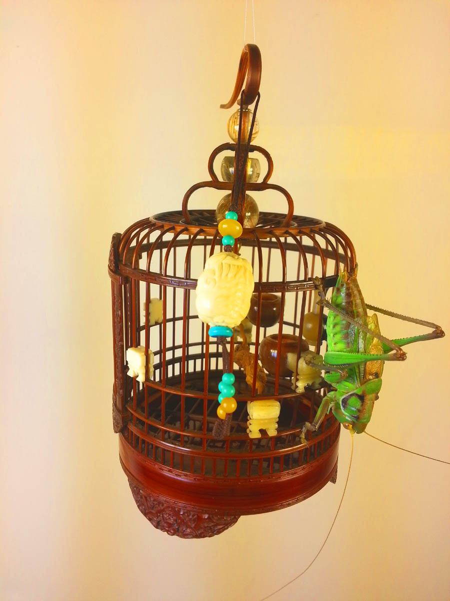 20140613_234828.jpg
