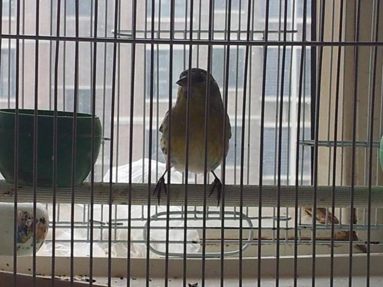 20141019_150957.JPG