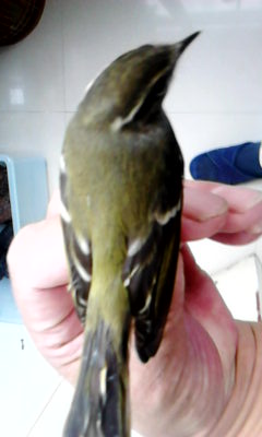 20141020_1411_0.jpg