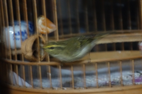 DSC01715.JPG