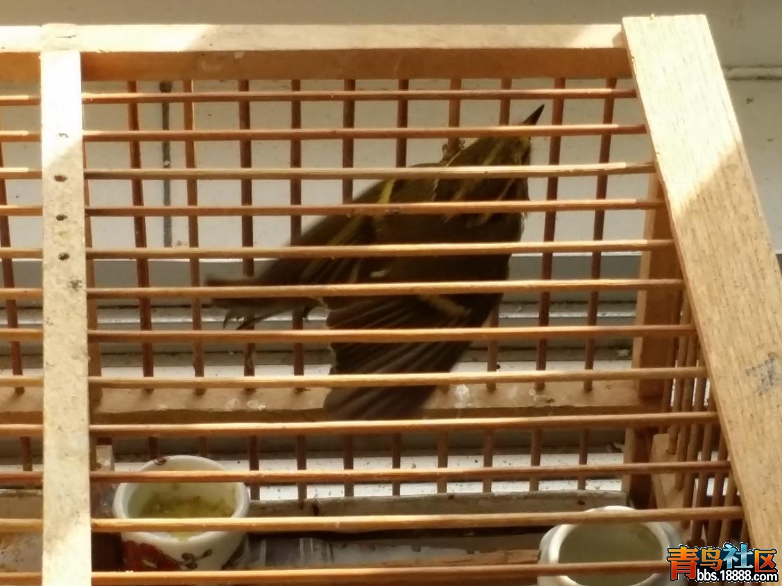 20141010_132944.jpg