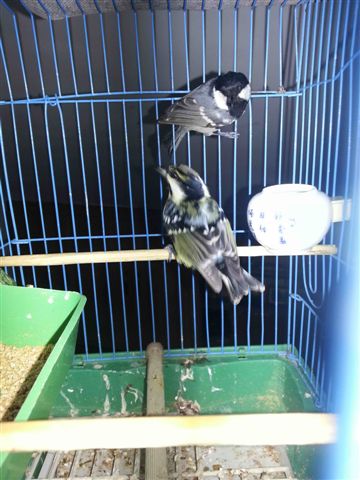 20141015_230451.jpg