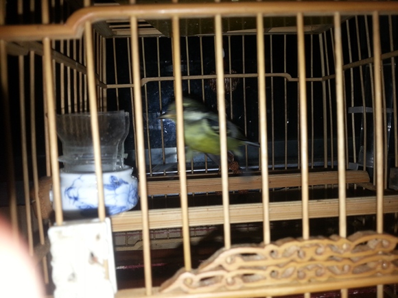20141018_200201.jpg