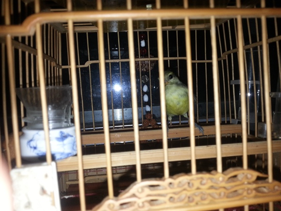 20141018_200208.jpg