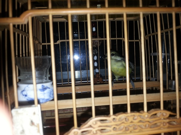 20141018_200203.jpg