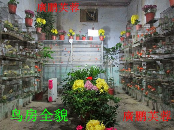 5a0afb2a6059252d49a82ce9369b033b59b5b997_副本.jpg