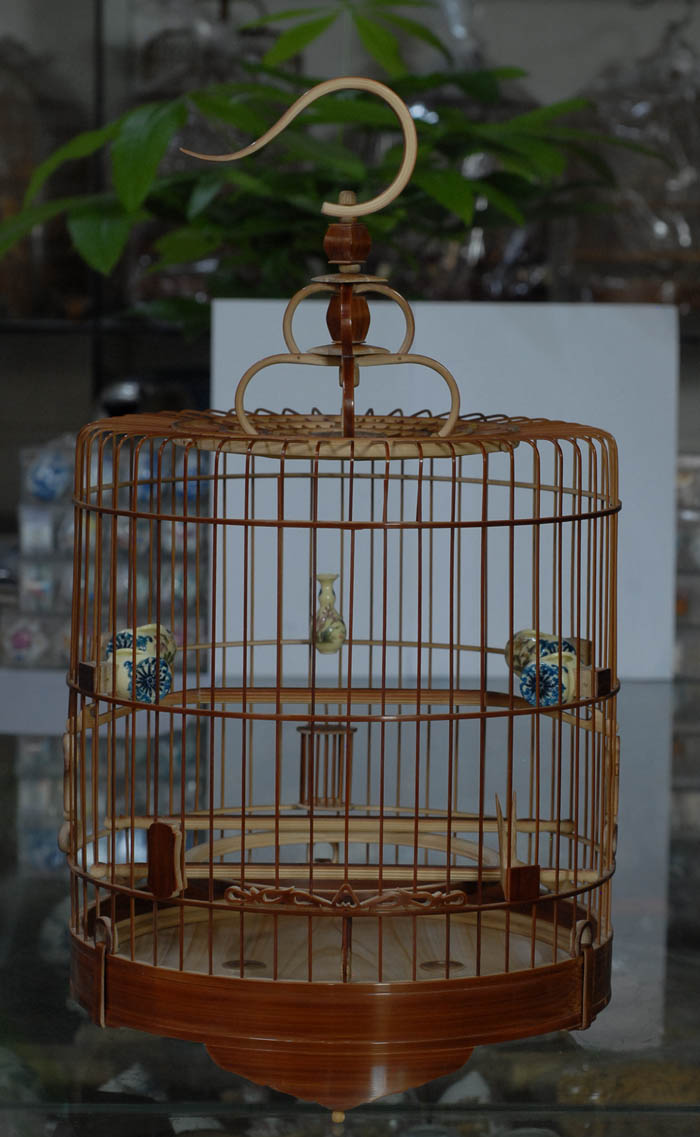 DSC_0031.JPG