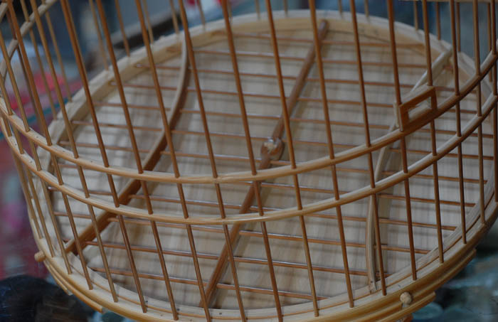 DSC_0040.JPG