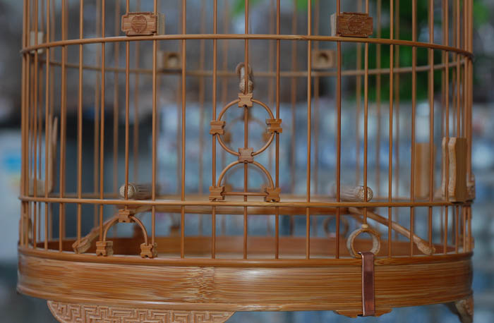 DSC_0011.JPG