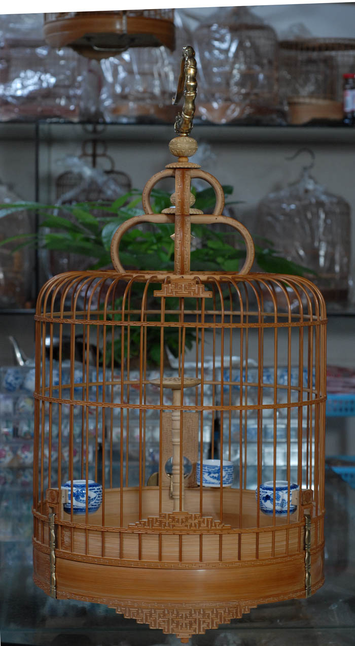 DSC_0001.JPG