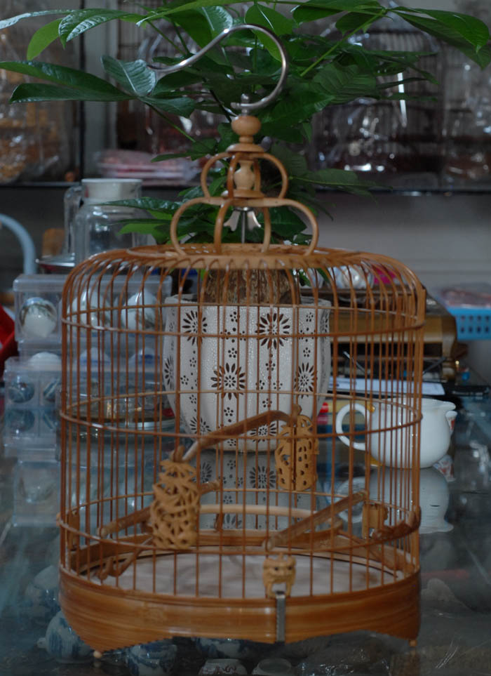 DSC_0002.JPG