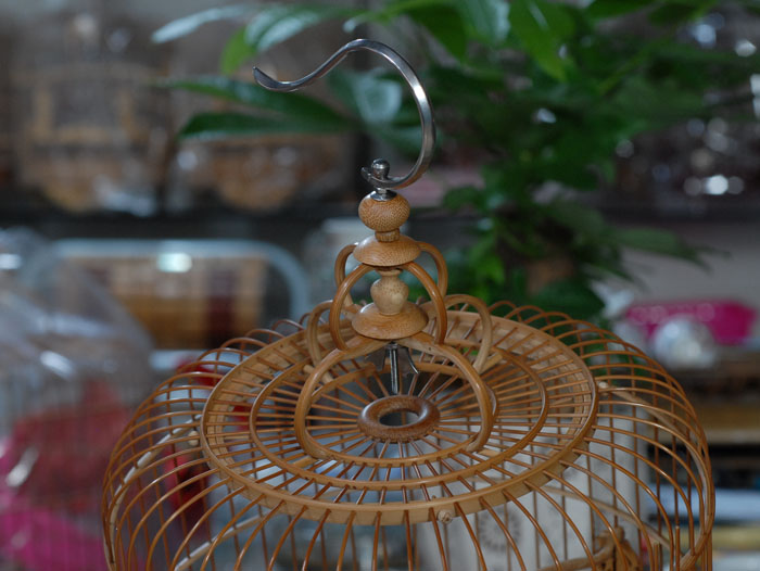 DSC_0003.JPG