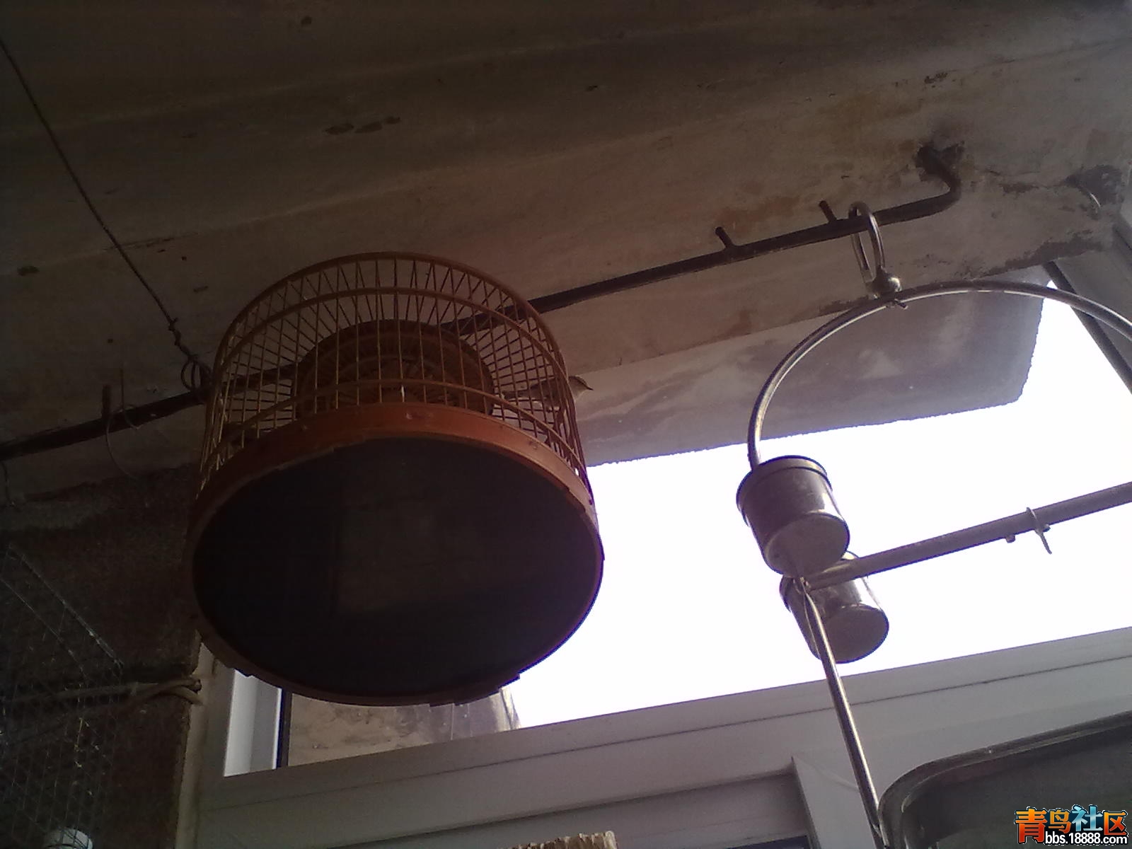 20110101020.jpg
