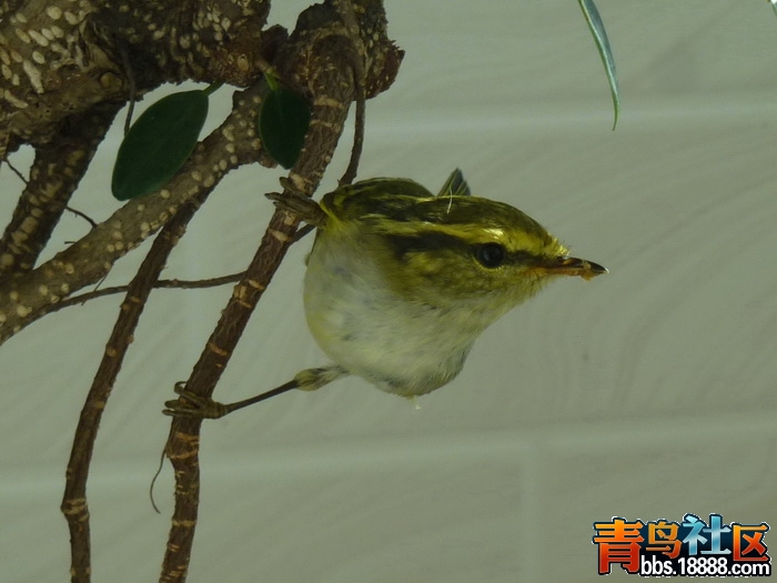 P1090814_调整大小.jpg