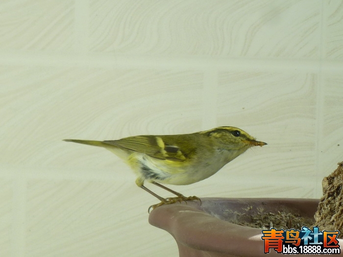 P1090869_调整大小.jpg