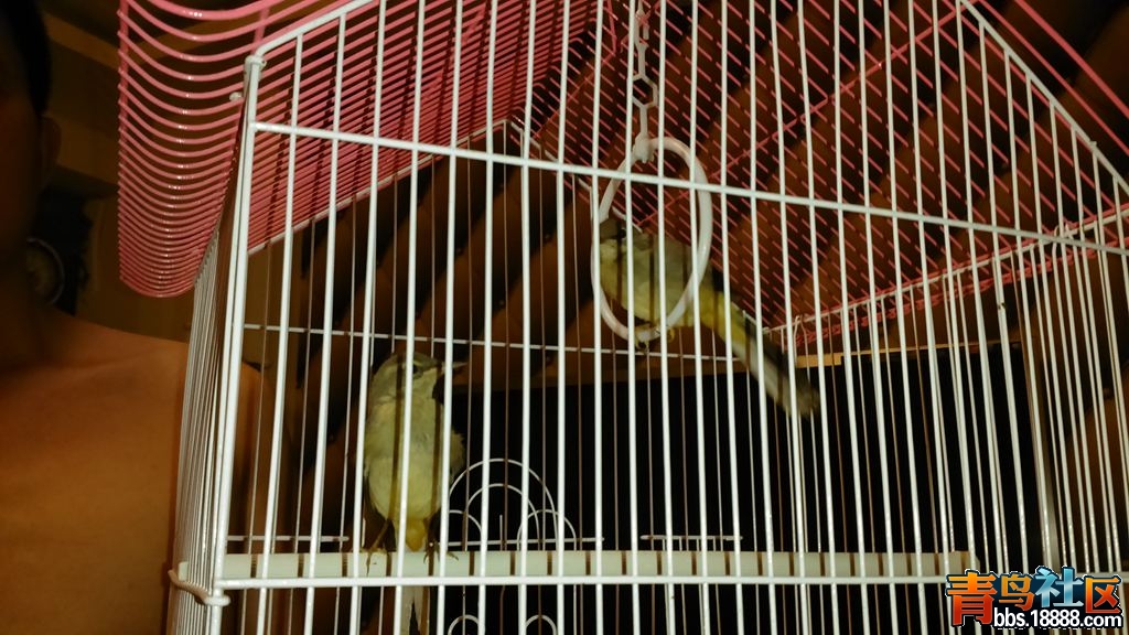 DSC_0257_副本.jpg