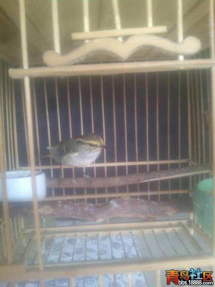 QQ图片20141105230211.jpg