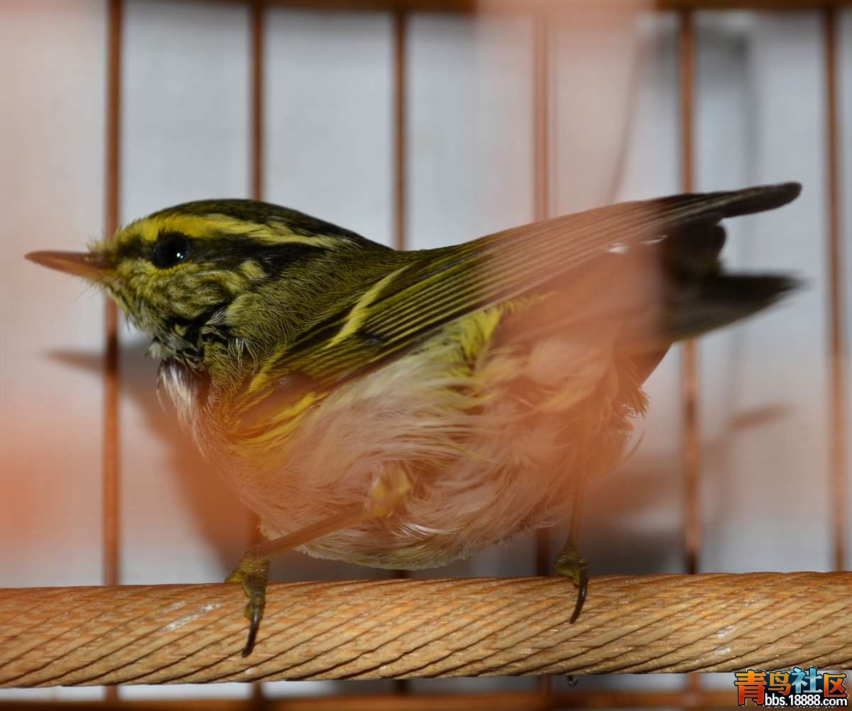 DSC_1567.JPG