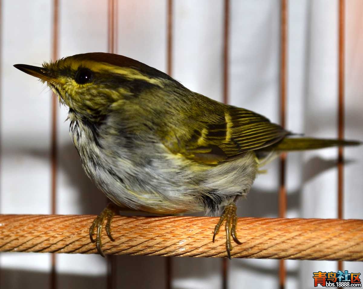 DSC_1560.JPG