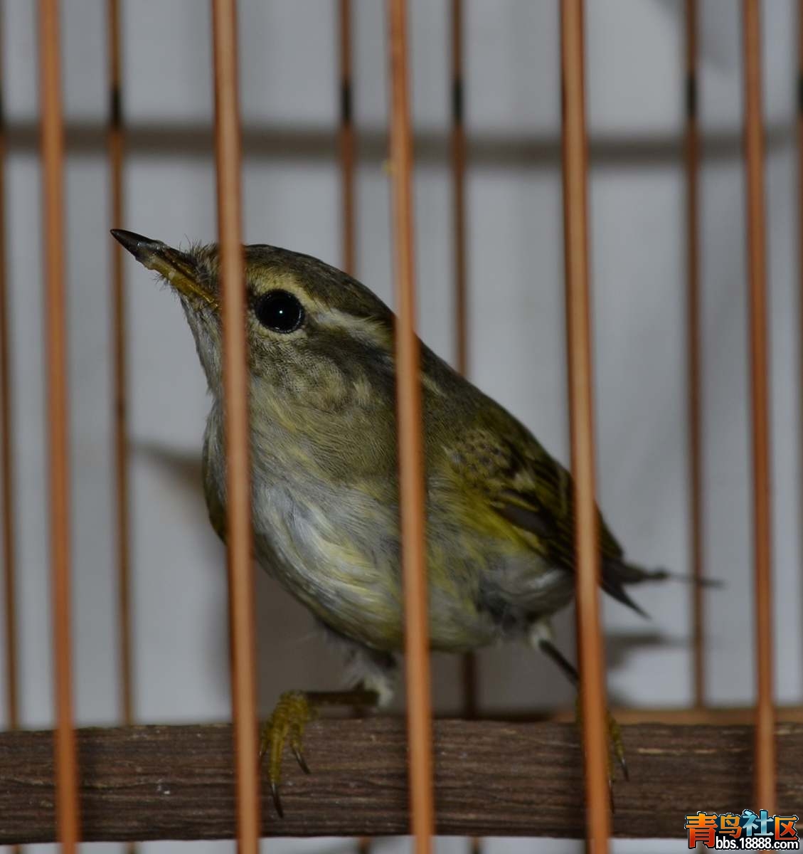 DSC_1943.JPG
