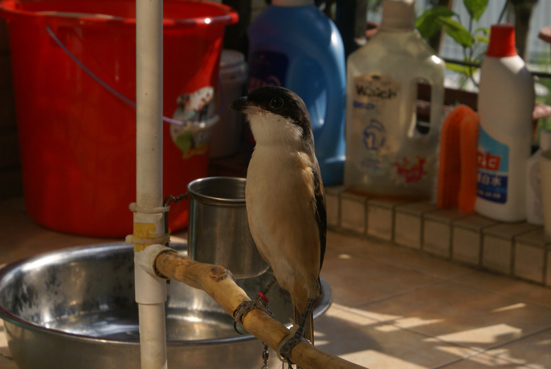 DSC09765.JPG