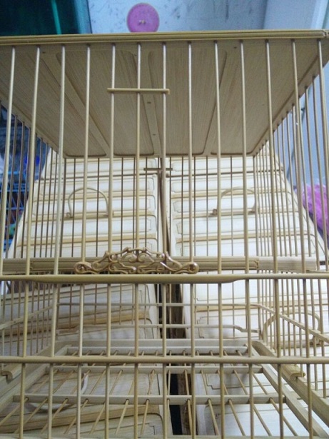 QQ图片20141110114739.jpg
