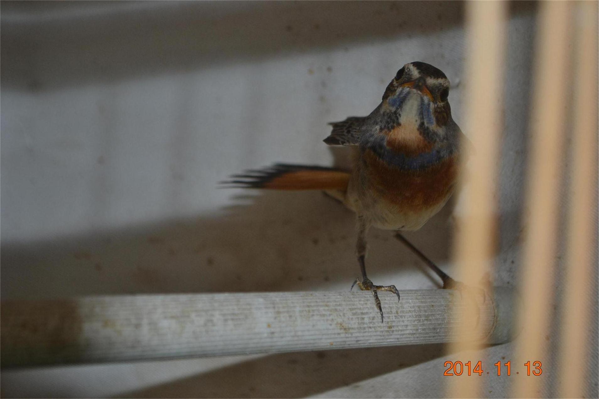 DSC_0707.JPG