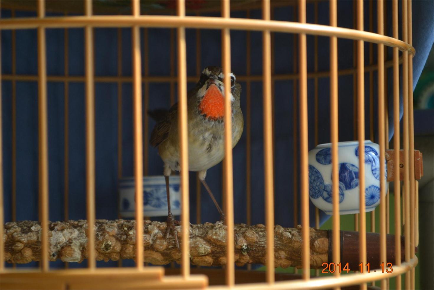 DSC_0664.JPG