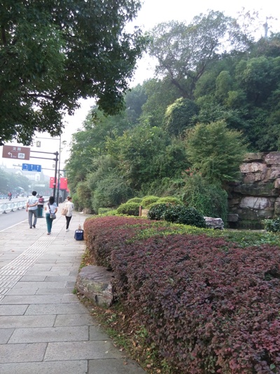 IMG_20141003_065420.jpg