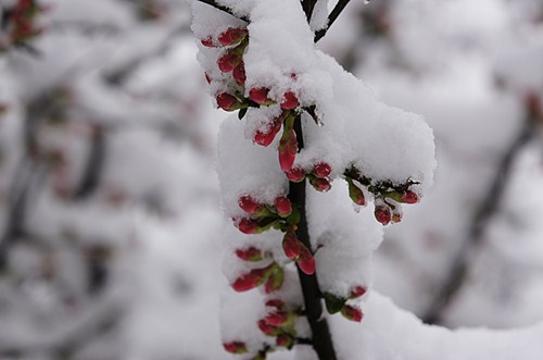 _DSC2977_副本10.jpg