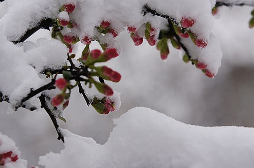 _DSC2976_副本9.jpg
