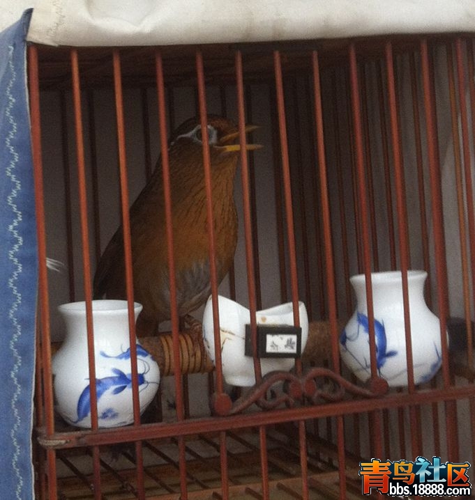 &#29031;&#29255; 127_&#21103;&#26412;.jpg