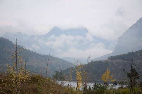 AAV_5217.JPG
