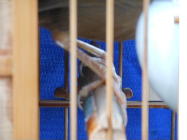 照片 010.jpg