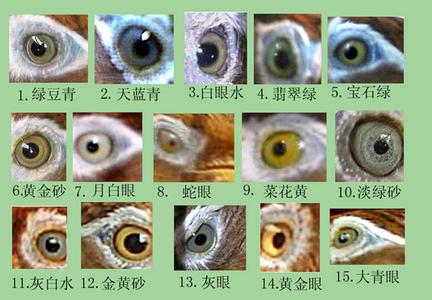 u=267426912,1222519438&amp;fm=23&amp;gp=0.jpg