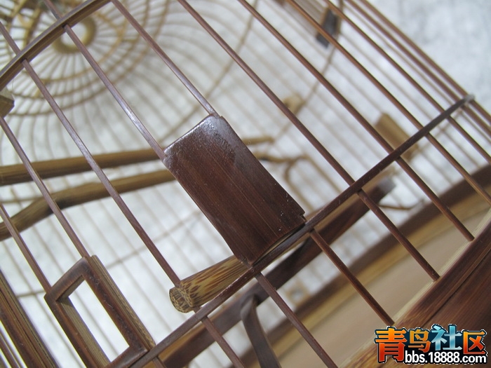 IMG_0460_调整大小.JPG