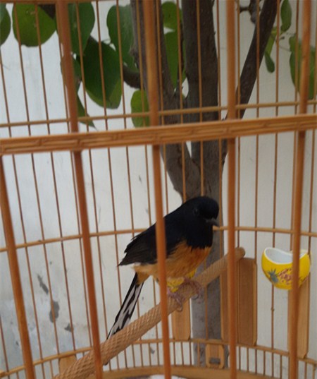 20141110_142159_副本.jpg