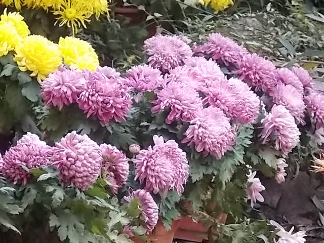 DSCN1313.JPG
