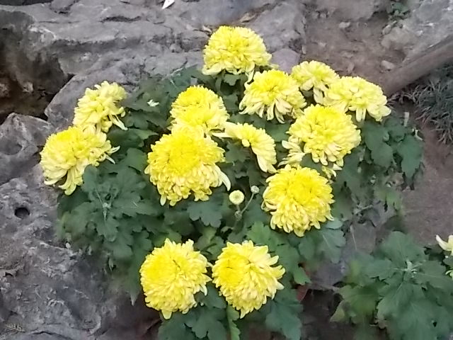 DSCN1218.JPG
