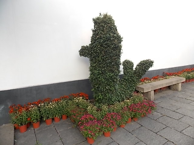 DSCN1271.JPG