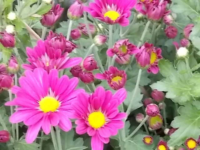 DSCN1324.JPG